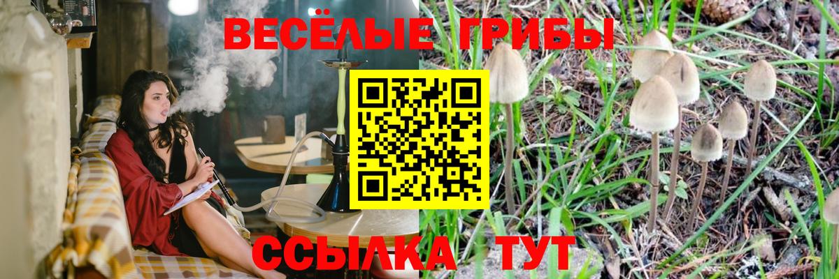 Ликино-Дулёво  Псилоцибиновые грибы MAGIC MUSHROOMS  Псилоцибиновые грибы MAGIC MUSHROOMS  Вход с VPN 